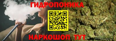 стафф Краснокаменск