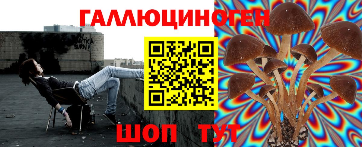 Псилоцибиновые грибы мухоморы  Вход с VPN  Чебоксары 